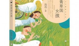 青草合集在线观看,在线观看，感受青春的律动与梦想的翅膀